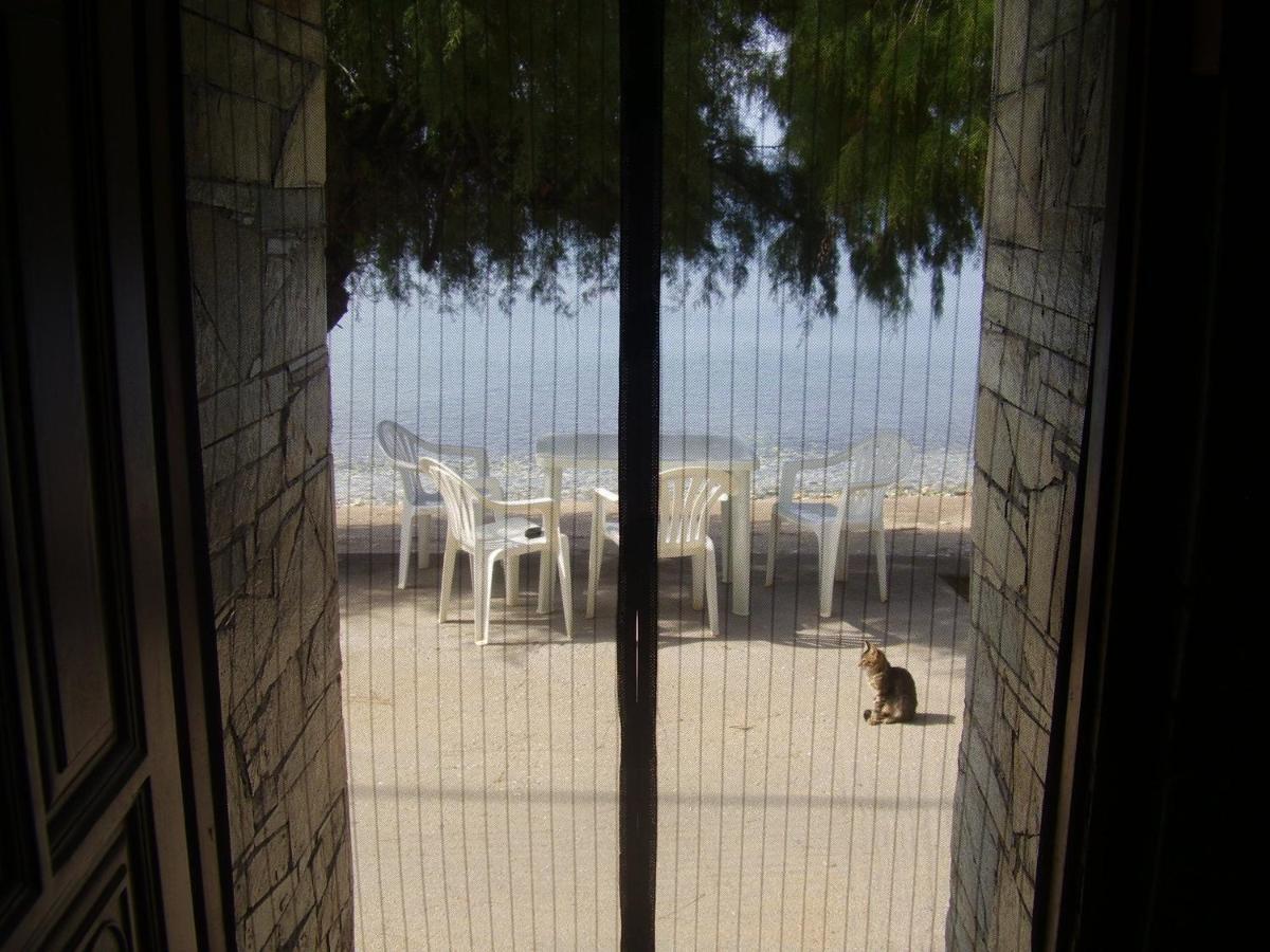 Sunset Suites ليفوكاسترو الغرفة الصورة